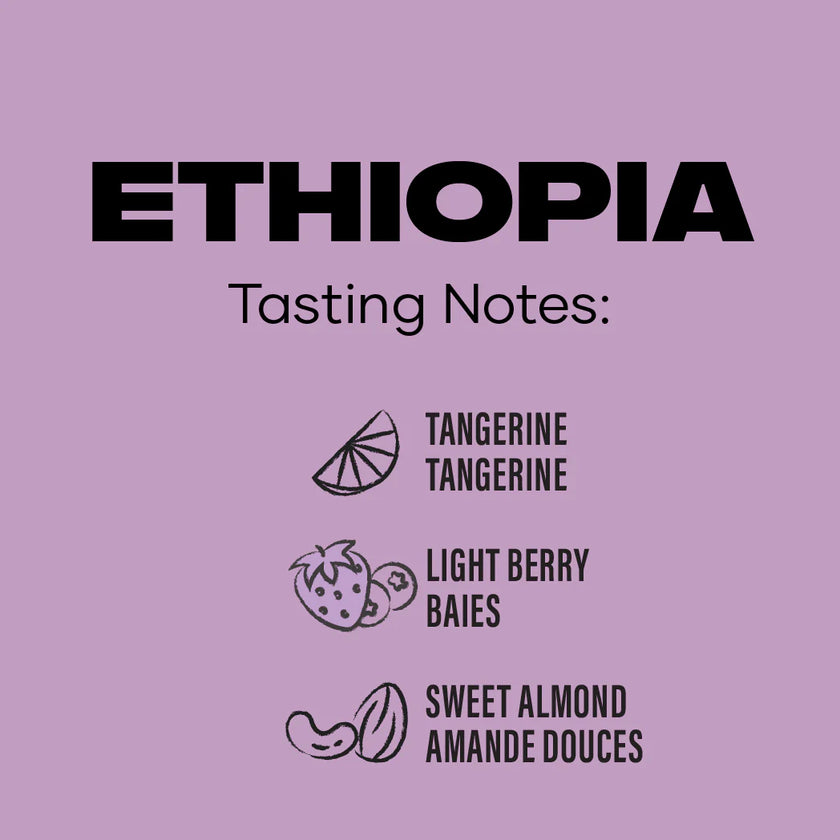Ethiopia Coffee: Ground