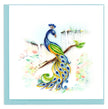 Posing Peacock Greeting Card