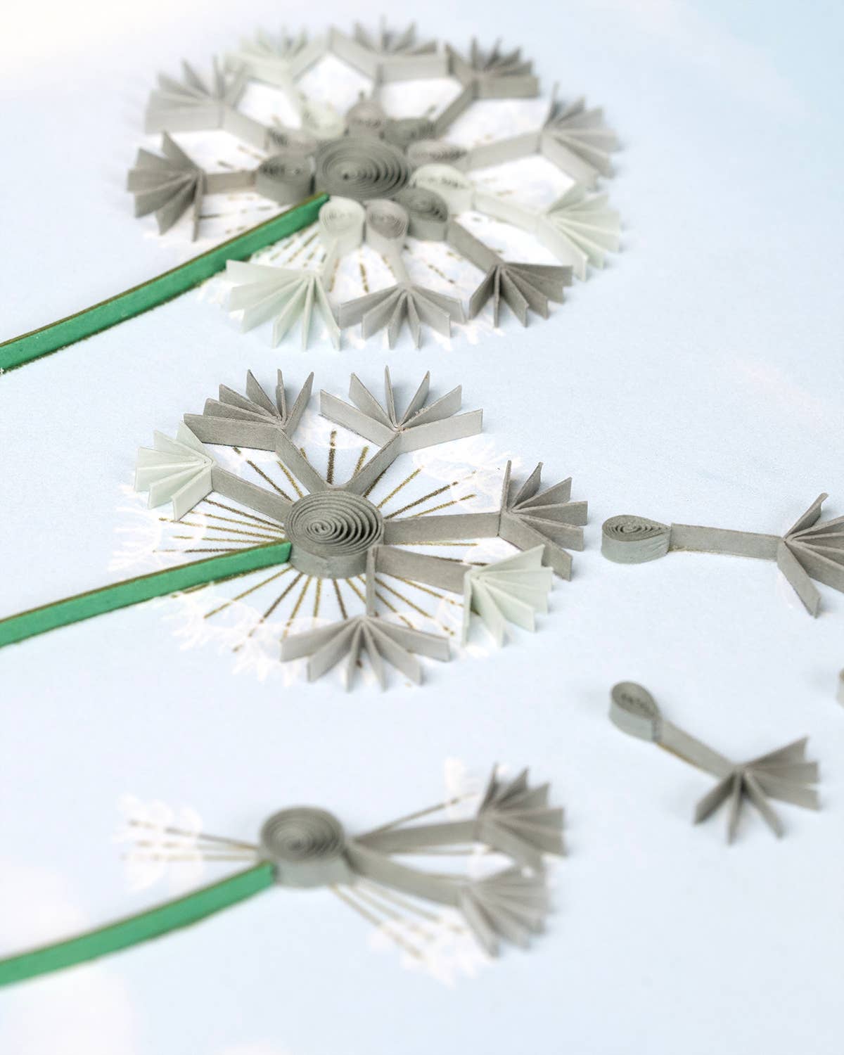 Dandelions Greeting Card