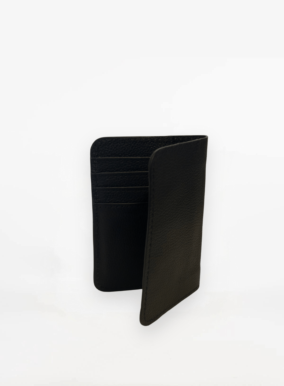 Passport Holder: Black