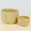 Potted Planter, Palm Leaf: Small