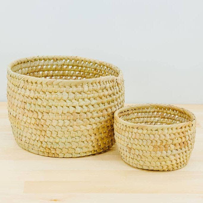 Potted Planter, Palm Leaf: Large