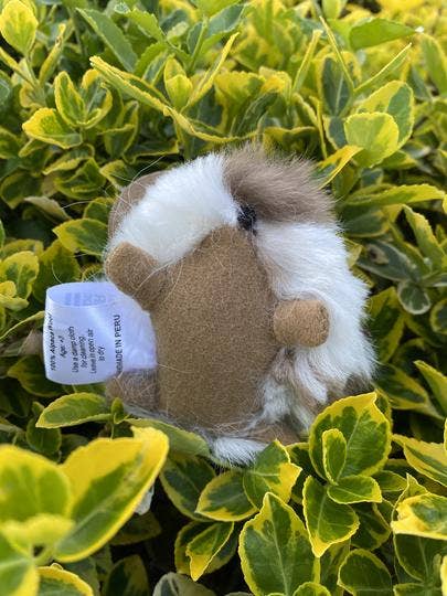 Cuyita Guinea Pig Alpaca Fur Toy: 5” x 2.0”
